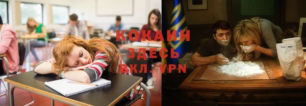 прущие грибы Алзамай