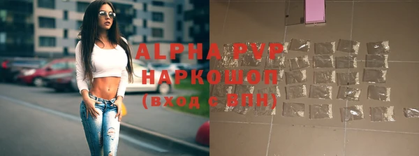 ешки Алексин