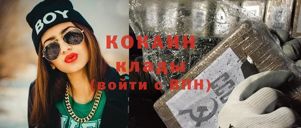 ешки Алексин