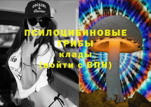 ешки Алексин