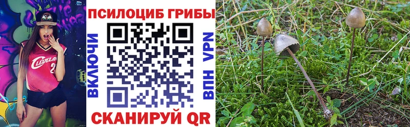 Галлюциногенные грибы мухоморы  что такое   Евпатория 