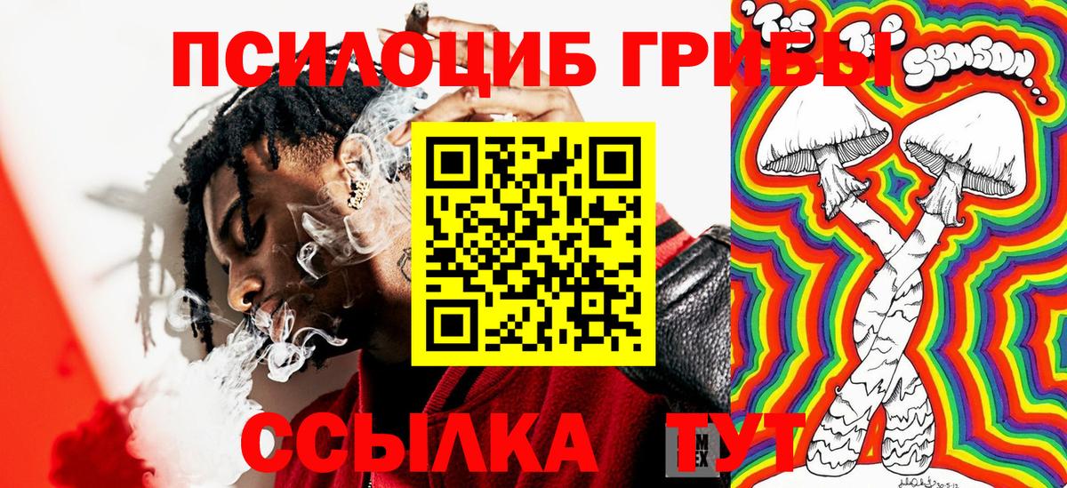 Псилоцибиновые грибы прущие грибы Евпатория