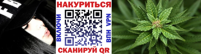 наркотики  Евпатория  Бошки Шишки OG Kush 